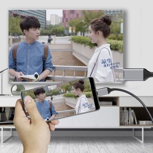 4k60Hz USB-C 3.1 to DisplayPort 1.8m cable