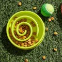 A bowl that slows down cat food - green