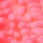 A microfiber glove for washing a car - light pink