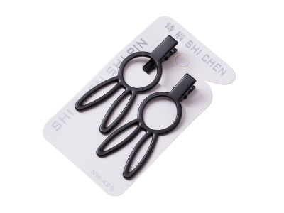 A set of 2 pieces hairpins 