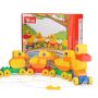A set of blocks - a family of ducks (28 blocks)