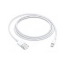 Apple Lightning to USB Cable (1? m)