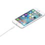 Apple Lightning to USB Cable (1? m)