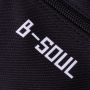 B-SOUL bicycle pannier - model 3