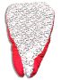 Baby cocoon 4in1 Smile - red and white, POLISH PRODUCT 100% COTTON