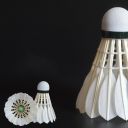 Badminton shuttlecocks 12 pcs.