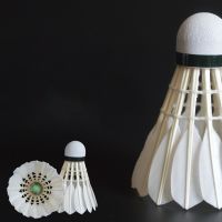 Badminton shuttlecocks 12 pcs.