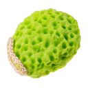 Bath washcloth / sponge - green
