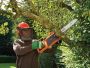 Black & Decker CS1835-QS chainsaw 1800 W