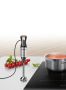 Blender ręczny BOSCH MS6CM 6166