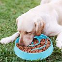 Bowl to slow down dog / cat food - blue