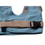 Braces for children to learn to walk, a walker - blue