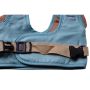 Braces for children to learn to walk, a walker - blue