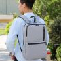 Business laptop backpack - gray