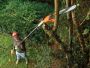 Chain saw for branches 800W BLACK + DECKER