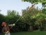 Chain saw for branches 800W BLACK + DECKER