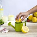 Citrus sqeezer