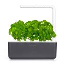 Click&Grow Inteligentna doniczka Smart Garden 3 Dark Grey