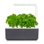 Click&Grow Inteligentna doniczka Smart Garden 3 Dark Grey
