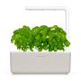 Click&Grow Inteligentna doniczka Smart Garden 3 Mellow Beige