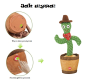 Dancing Cactus - Cow boy