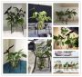 Decorative deer vase - medium