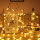 Decorative LED lights in the shape of a star - cold color