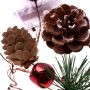 Decorative LED lights with cones