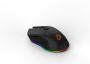 Delux EM901 mouse Wireless+USB Type-C Optical 6000 DPI