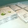 Document A4 shelf, drawer tray, drawer - 4 pcs