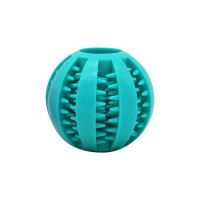 Dog chew toy with holes for treats - blue
