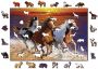 Drewniane Puzzle z figurkami - Dzikie konie na plaży, 505 elementów