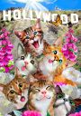 Drewniane Puzzle z figurkami – Kotki w Hollywood rozm. M, 150 elementów