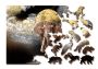 Drewniane Puzzle z figurkami – Słoń i Księżyc rozm. M, 150 elementów