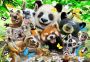 Drewniane Puzzle z figurkami – Wesołe Selfie-Misie rozm. M, 150 elementów