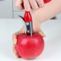 Drying plant for hollowing apples