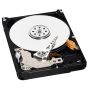 Dysk HDD Western Digital AV WD5000LUCT ( 500 GB ; 2.5