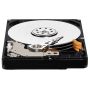 Dysk HDD Western Digital AV WD5000LUCT ( 500 GB ; 2.5