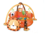 Educational mat for babies - lion