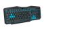 Esperanza EGK201B keyboard USB Black