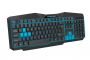 Esperanza EGK201B keyboard USB Black