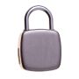 Fingerprint padlock with fingerprint reader 