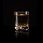 Froster whisky case with glasses