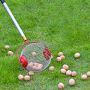 Fruit and nut collector - large