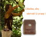 Fruit Picking Bag - brown