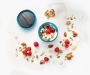 FUEL Yogurt / Granola container
