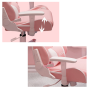 Gaming chair and desk 100 x 60 - pink set