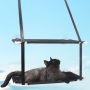 Hanging cat bed on the window - black, double