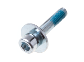 Hexagon screw M6*30 Xiaomi Mi Electric Scooter M365 (original)