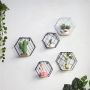 Hexagonal decorative shelf - white II